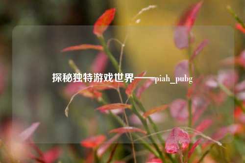 探秘独特游戏世界——piah_pubg