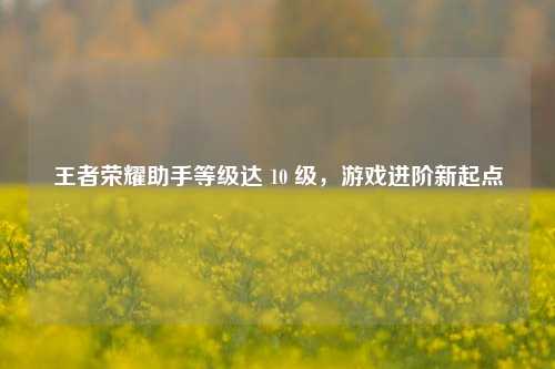 王者荣耀助手等级达 10 级，游戏进阶新起点