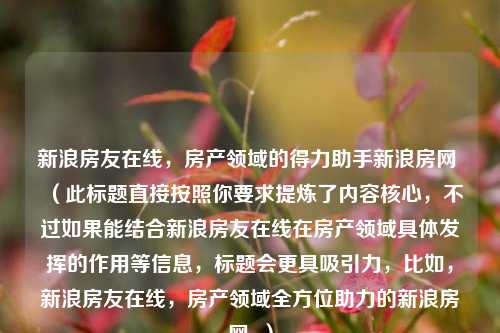 新浪房友在线,房产领域的得力助手新浪房网 (此标题直接按照你要求提炼了内容核心,不过如果能结合新浪房友在线在房产领域具体发挥的作用等信息,标题会更具吸引力,比如,新浪房友在线,房产领域全方位助力的新浪房网 )