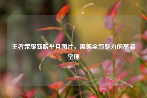 王者荣耀新版芈月图片,展现全新魅力的高清呈现