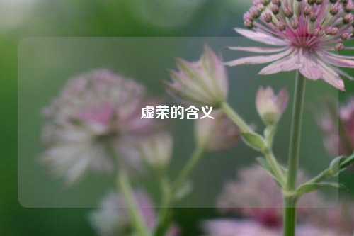 虚荣的含义