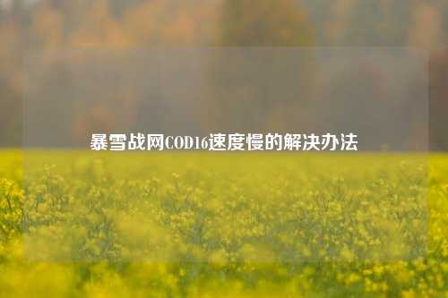 暴雪战网COD16速度慢的解决办法