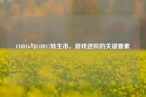 COD16与COD17转生币，游戏进阶的关键要素