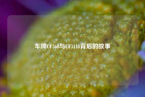 车牌CF360与CF3118背后的故事
