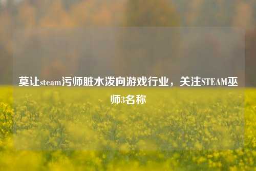 莫让steam污师脏水泼向游戏行业，关注STEAM巫师3名称