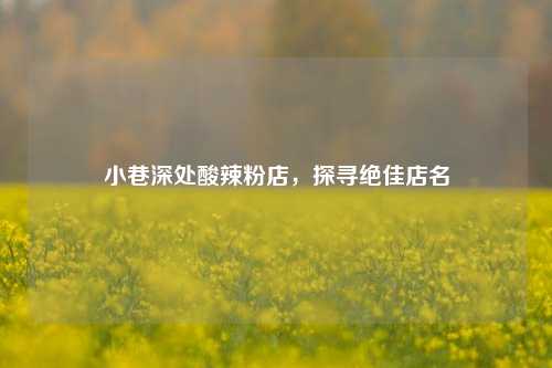 小巷深处酸辣粉店，探寻绝佳店名