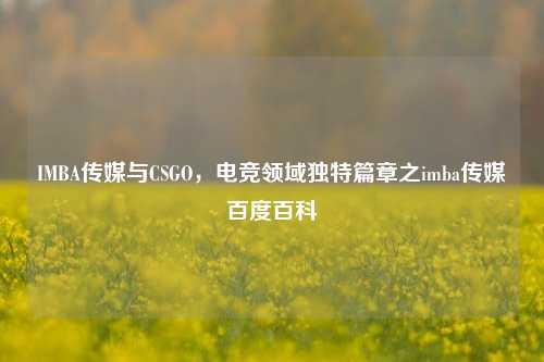 IMBA传媒与CSGO，电竞领域独特篇章之imba传媒百度百科
