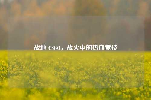 战地 CSGO，战火中的热血竞技