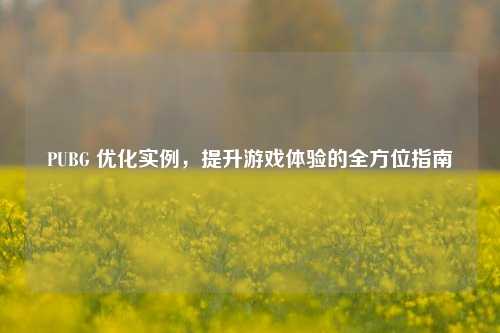 PUBG 优化实例，提升游戏体验的全方位指南