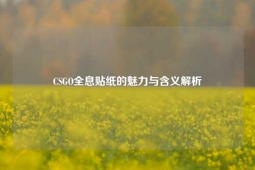 CSGO全息贴纸的魅力与含义解析