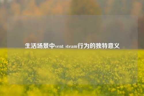 生活场景中vent steam行为的独特意义