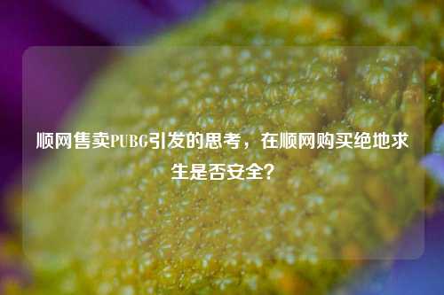 顺网售卖PUBG引发的思考，在顺网购买绝地求生是否安全？