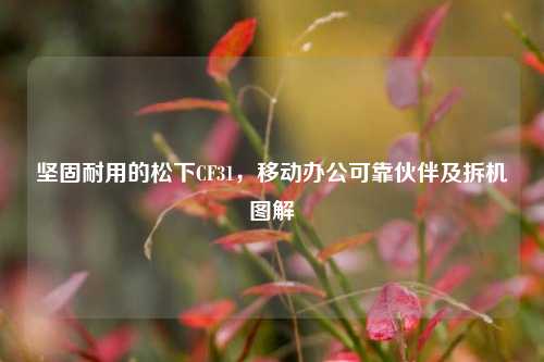 坚固耐用的松下CF31，移动办公可靠伙伴及拆机图解