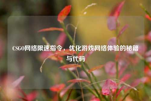 CSGO网络限速指令，优化游戏网络体验的秘籍与代码