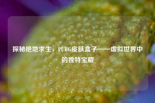 探秘绝地求生,PUBG皮肤盒子——虚拟世界中的独特宝藏
