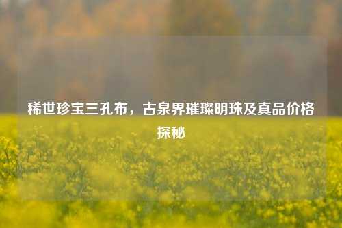 稀世珍宝三孔布，古泉界璀璨明珠及真品价格探秘