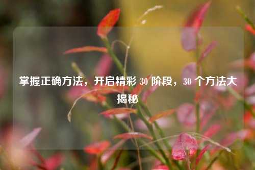 掌握正确方法，开启精彩 30 阶段，30 个方法大揭秘