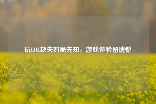 玩LOL缺失对局先知,游戏体验留遗憾