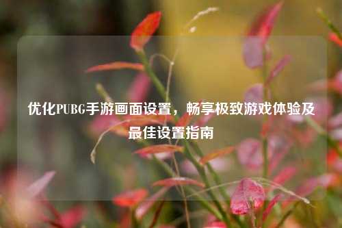 优化PUBG手游画面设置，畅享极致游戏体验及最佳设置指南