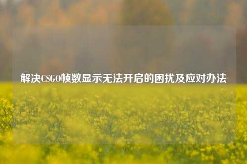 解决CSGO帧数显示无法开启的困扰及应对办法
