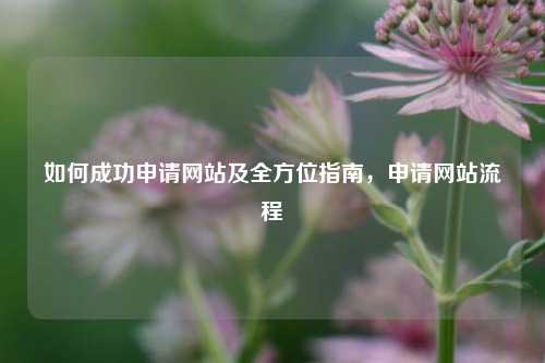 如何成功申请网站及全方位指南，申请网站流程