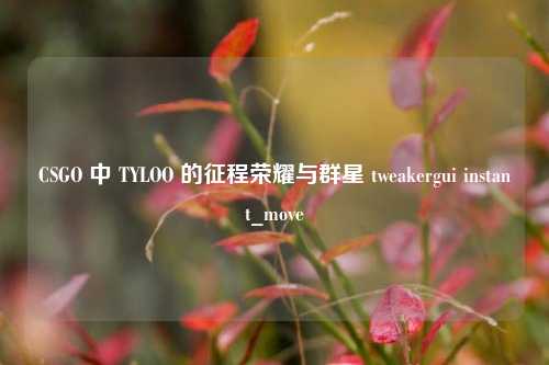 CSGO 中 TYLOO 的征程荣耀与群星 tweakergui instant_move