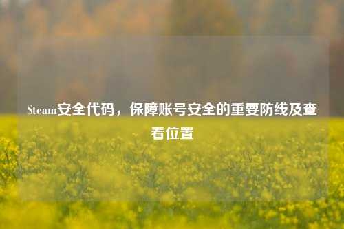 Steam安全代码，保障账号安全的重要防线及查看位置