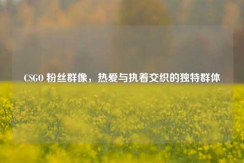 CSGO 粉丝群像，热爱与执着交织的独特群体