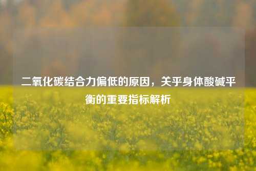 二氧化碳结合力偏低的原因，关乎身体酸碱平衡的重要指标解析