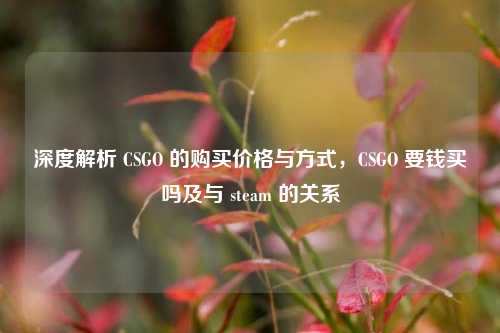 深度解析 CSGO 的购买价格与方式，CSGO 要钱买吗及与 steam 的关系