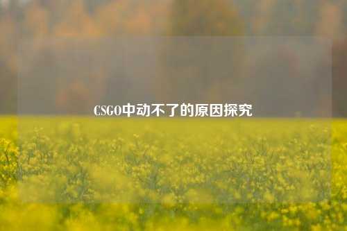 CSGO中动不了的原因探究
