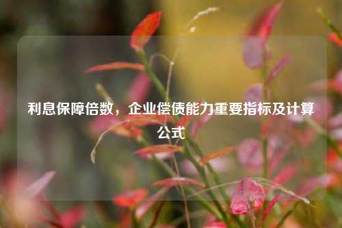 利息保障倍数，企业偿债能力重要指标及计算公式