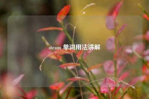 steam 单词用法讲解