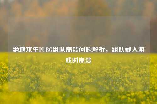 绝地求生PUBG组队崩溃问题解析,组队载入游戏时崩溃