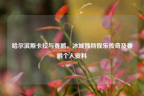 哈尔滨斯卡拉与姜鹏,冰城独特娱乐传奇及姜鹏个人资料