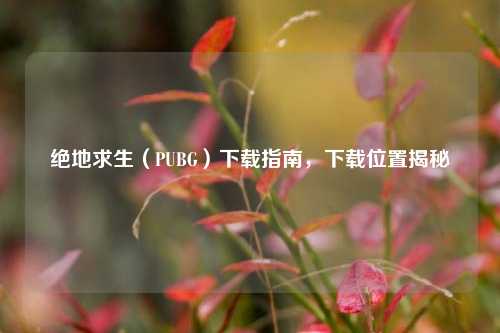 绝地求生（PUBG）下载指南，下载位置揭秘