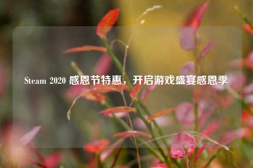 Steam 2020 感恩节特惠,开启游戏盛宴感恩季
