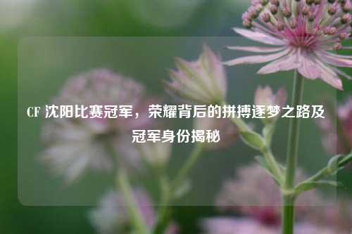 CF 沈阳比赛冠军，荣耀背后的拼搏逐梦之路及冠军身份揭秘