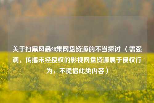 关于扫黑风暴28集网盘资源的不当探讨 （需强调，传播未经授权的影视网盘资源属于侵权行为，不提倡此类内容）