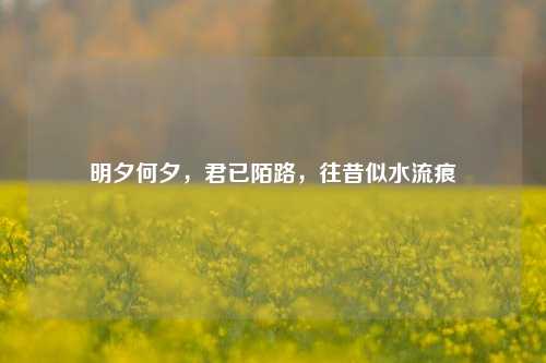 明夕何夕,君已陌路,往昔似水流痕
