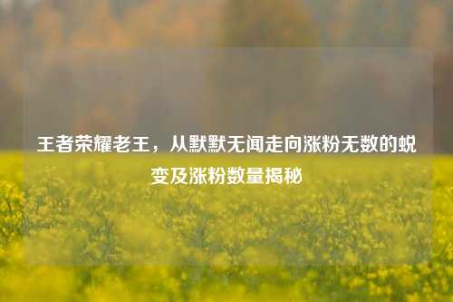 王者荣耀老王，从默默无闻走向涨粉无数的蜕变及涨粉数量揭秘