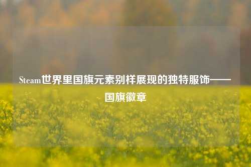 Steam世界里国旗元素别样展现的独特服饰——国旗徽章