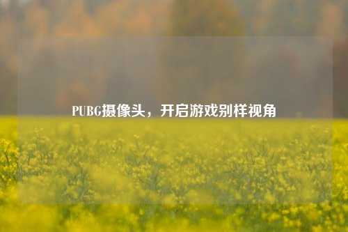 PUBG摄像头，开启游戏别样视角