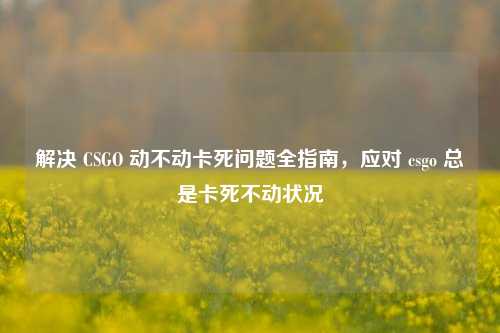 解决 CSGO 动不动卡死问题全指南，应对 csgo 总是卡死不动状况