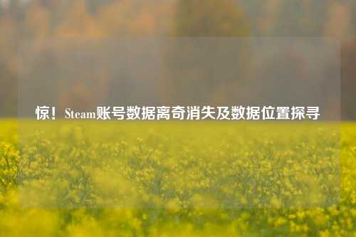 惊！Steam账号数据离奇消失及数据位置探寻