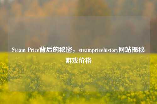 Steam Price背后的秘密，steampricehistory网站揭秘游戏价格