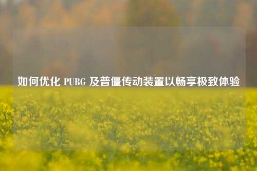 如何优化 PUBG 及普僵传动装置以畅享极致体验