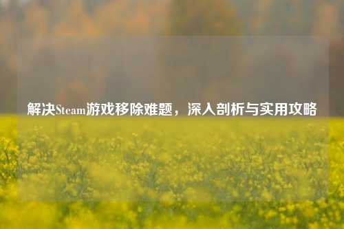 解决Steam游戏移除难题，深入剖析与实用攻略