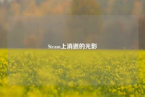 Steam上消逝的光影