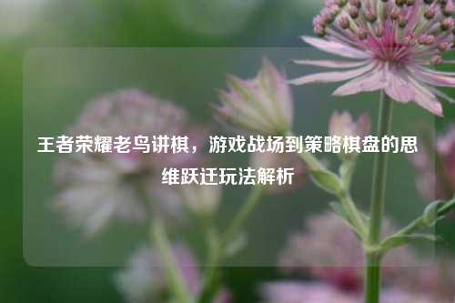 王者荣耀老鸟讲棋，游戏战场到策略棋盘的思维跃迁玩法解析